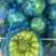 姜饼瓜精品