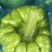 姜饼瓜精品