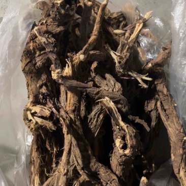 麻黄根