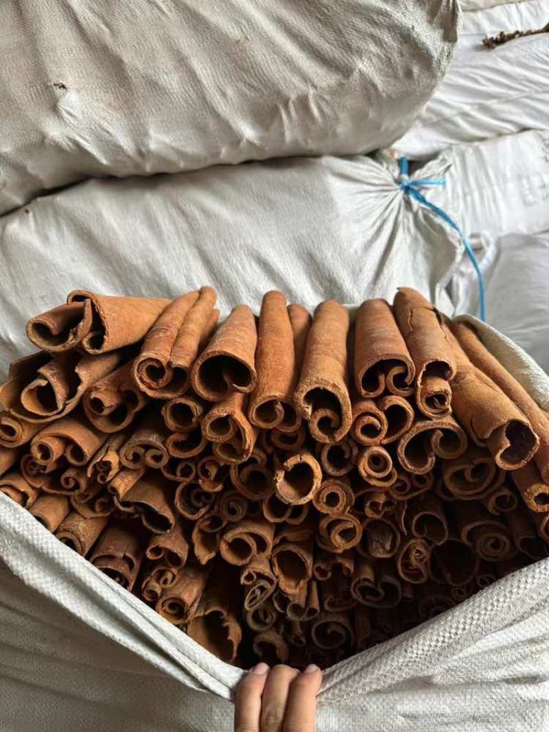 刮皮中通