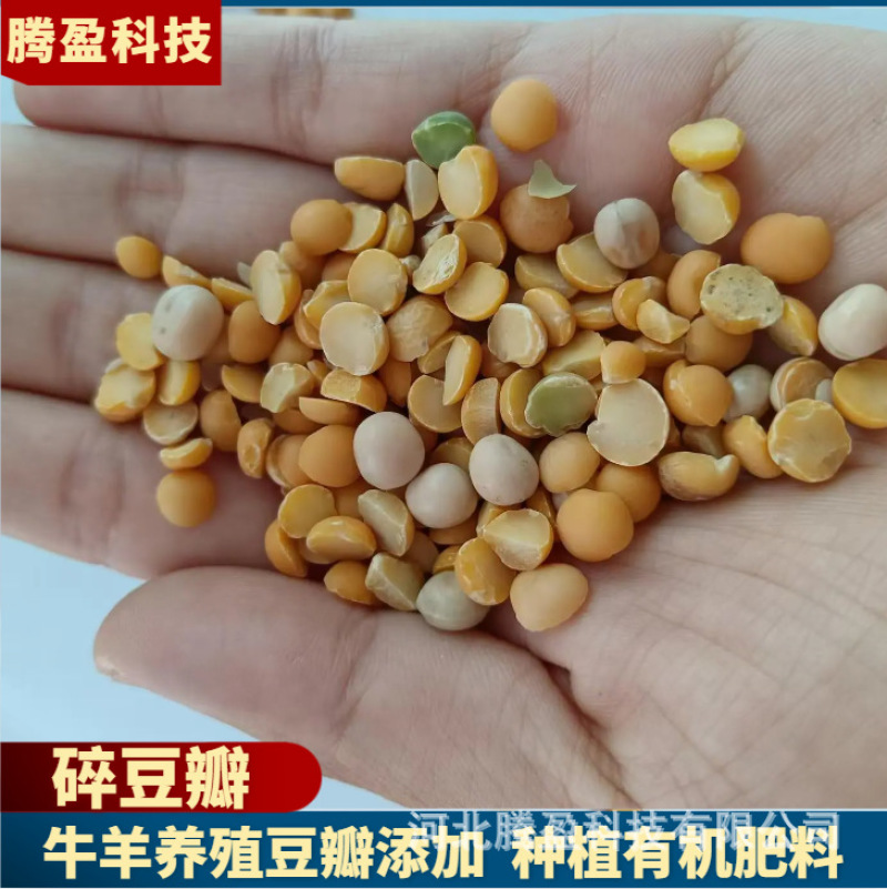 牛羊饲料碎豆瓣禽畜水产养殖添加种植有机肥料豆瓣