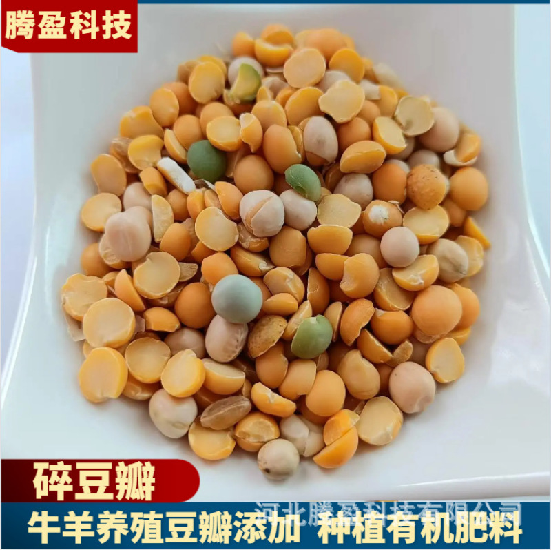 牛羊饲料碎豆瓣禽畜水产养殖添加种植有机肥料豆瓣
