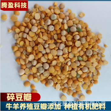 牛羊饲料碎豆瓣禽畜水产养殖添加种植有机肥料豆瓣