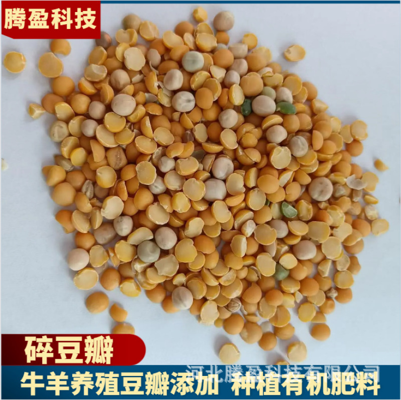 牛羊饲料碎豆瓣禽畜水产养殖添加种植有机肥料豆瓣