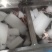 现杀冷冻牛蛙