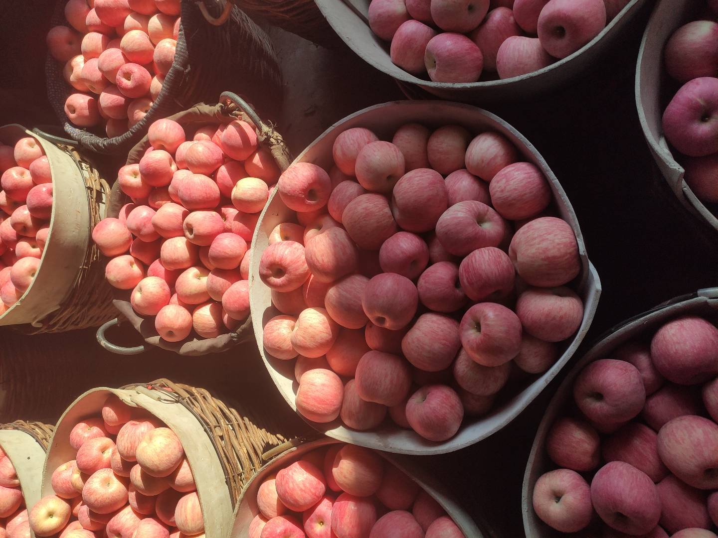 冰糖心红富士苹果摆放在果盘中,展示其鲜艳色泽与诱人外观 冰糖心红富士苹果摆盘图