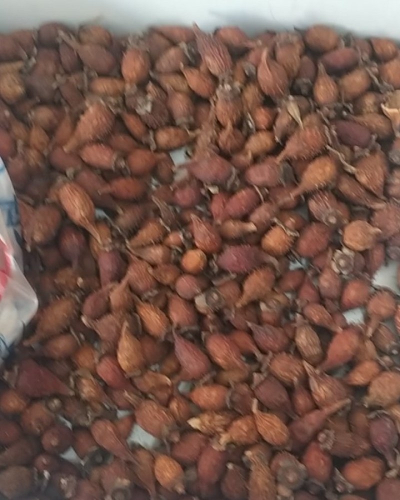 【推荐】贵州金樱子干货品质高好货源稳定量大从优全国发货