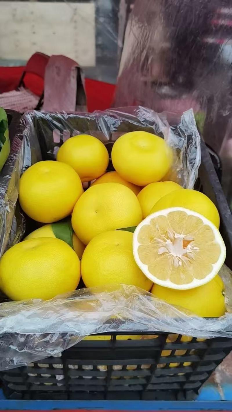 葡萄柚榨汁神器