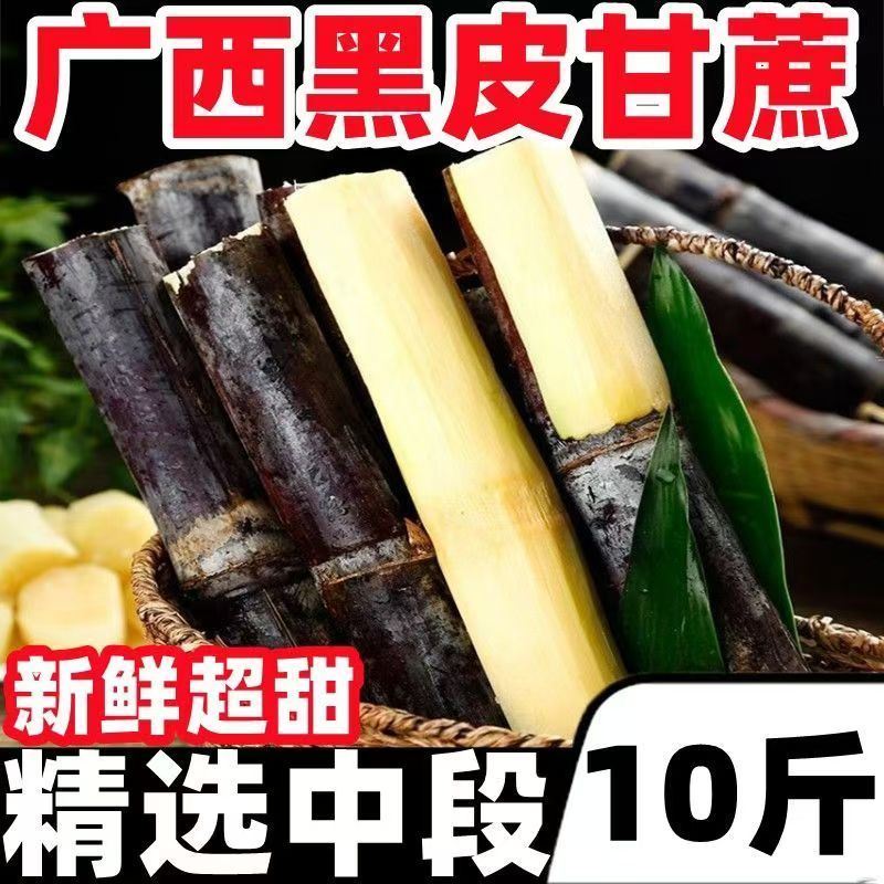 【新鲜中段】一件代发广西黑皮甘蔗脆甜批发当季水果榨汁甜杆