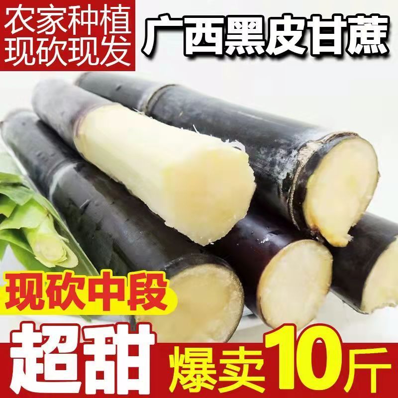 【新鲜中段】一件代发广西黑皮甘蔗脆甜批发当季水果榨汁甜杆