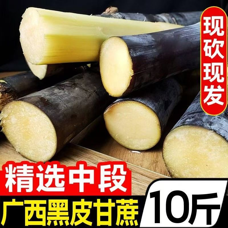【新鲜中段】一件代发广西黑皮甘蔗脆甜批发当季水果榨汁甜杆