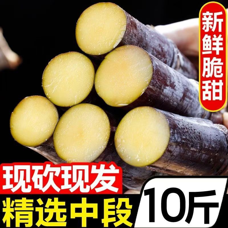 【新鲜中段】一件代发广西黑皮甘蔗脆甜批发当季水果榨汁甜杆