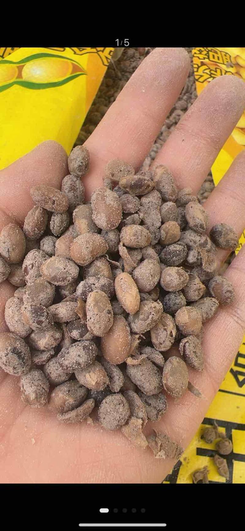 益生菌腐熟发酵大豆