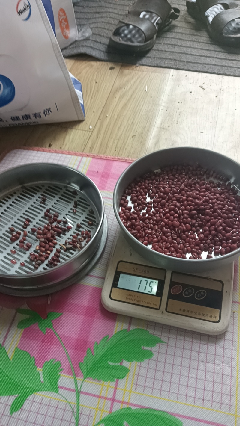 东北红小豆