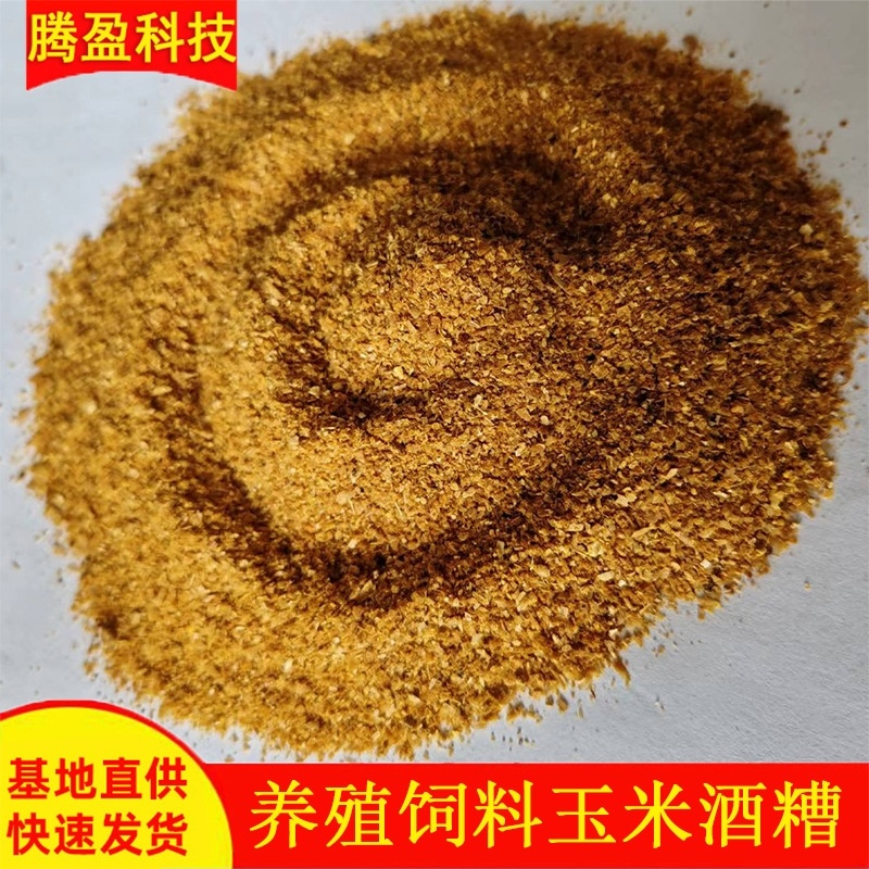 厂家现货玉米酒糟批发可替代部分糠类谷类牛猪鸡等饲料原料