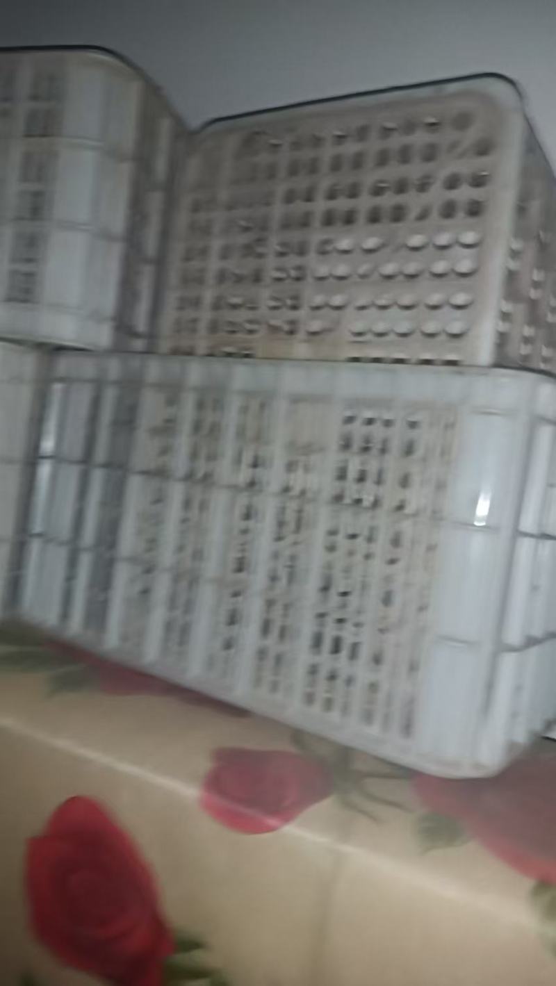 水果框大号