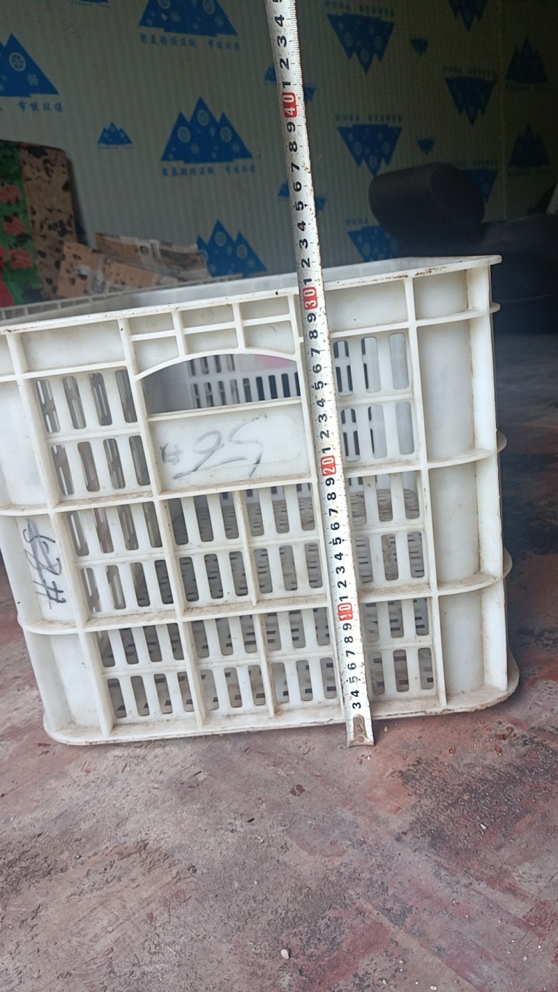 水果框大号