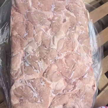 正三七碎肉，25kg，新货，24年8~9月份生产