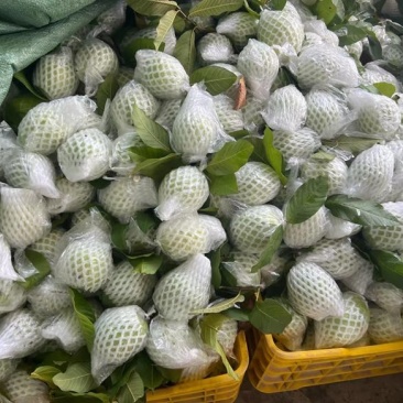白心好货