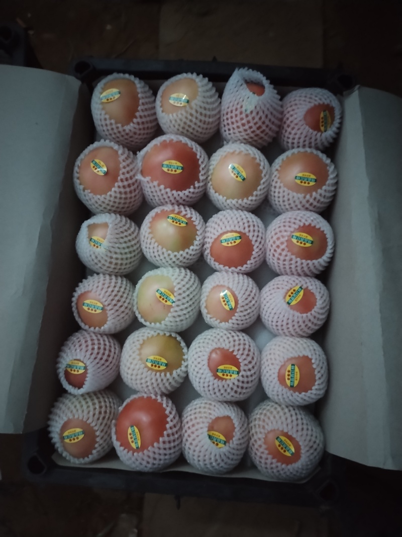 硬粉西红柿精品