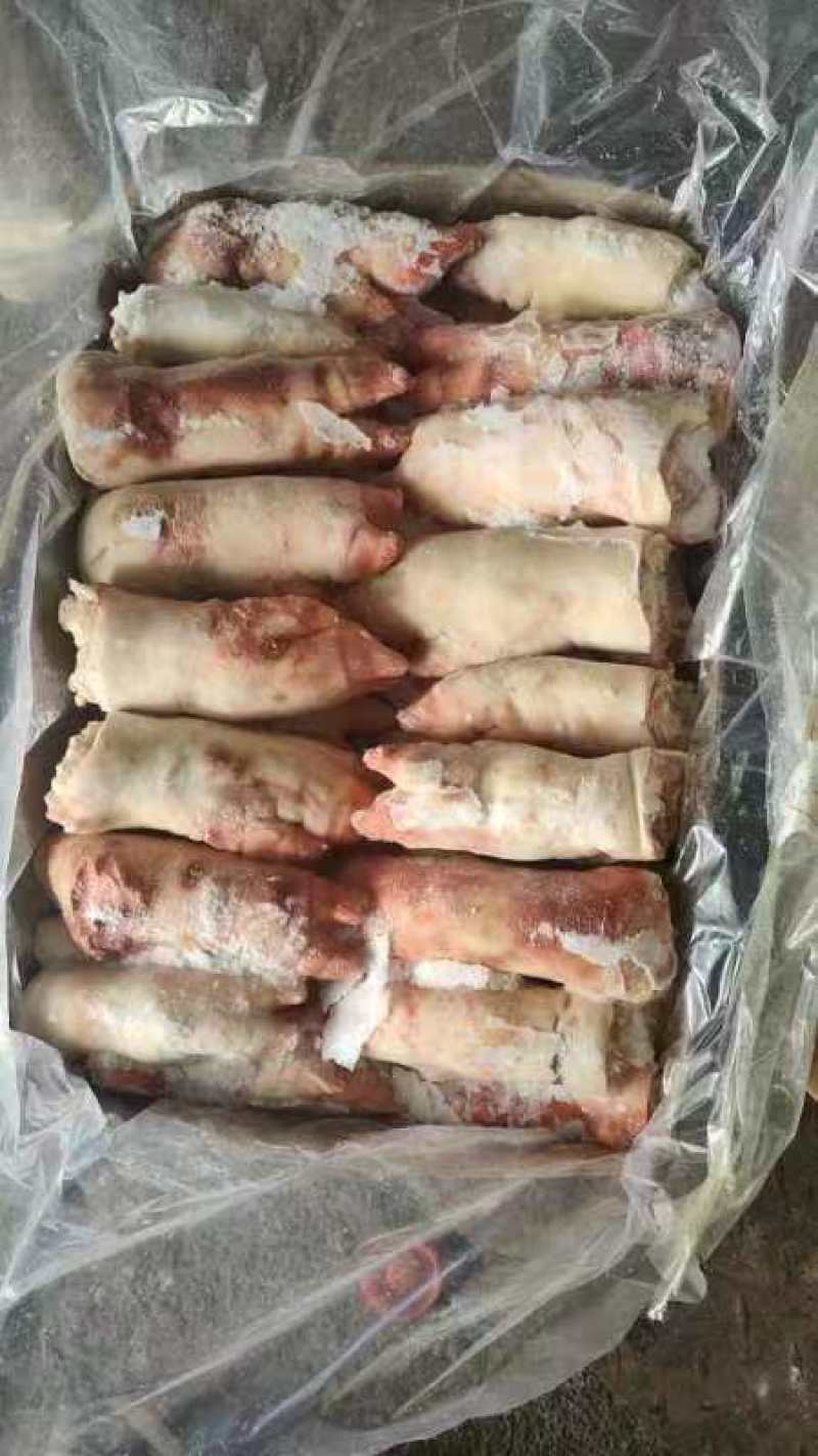 母猪蹄