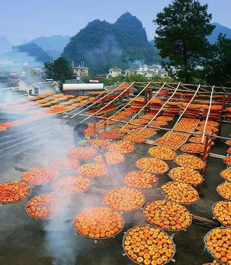 平乐柿饼，流心柿饼，吊饼，散装盒装可定制