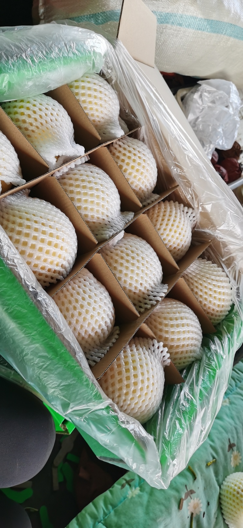 封丘县黄金梨