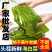 精品海白菜，裙带梗，大连旅顺特产，产地直发