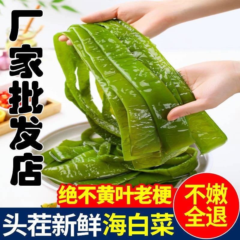 精品海白菜，裙带梗，大连旅顺特产，产地直发