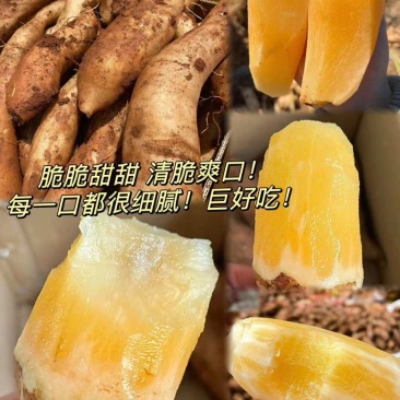 【新店特惠】对接电商云南天山雪莲果黄红心超甜低糖应季水果特价