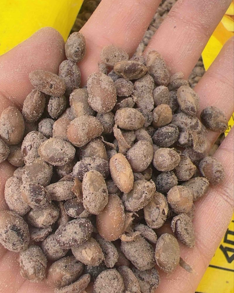 益生菌发酵腐熟大豆有机肥改良土壤肥效持久