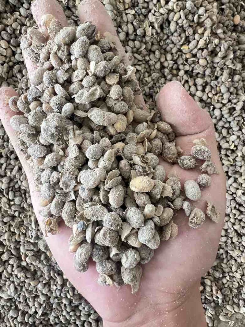 益生菌发酵腐熟大豆有机肥改良土壤肥效持久