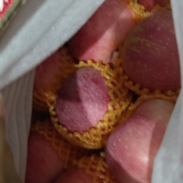 出售裕华富士苹果🍎***********