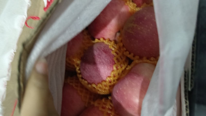 出售裕华富士苹果🍎***********