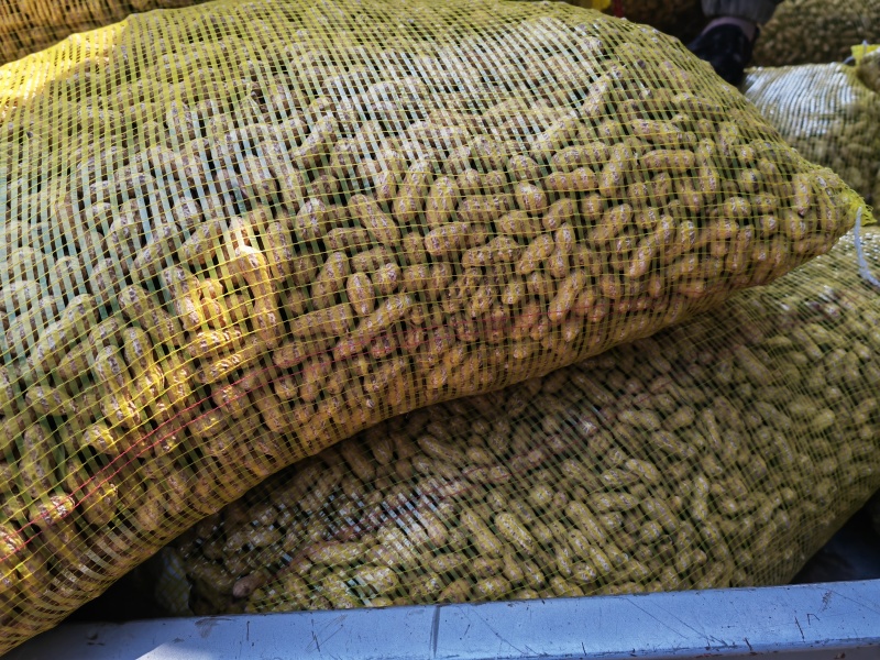 鲜花生机器过筛加人工挑选