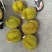 金枕榴莲