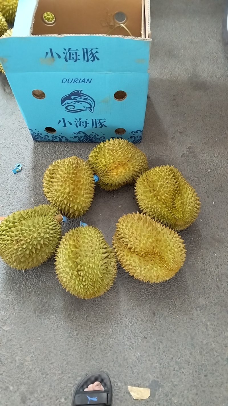金枕榴莲