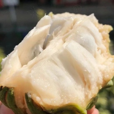 云南凤梨释迦果牛奶番荔枝释迦果新鲜甜水果大目释迦果批发价