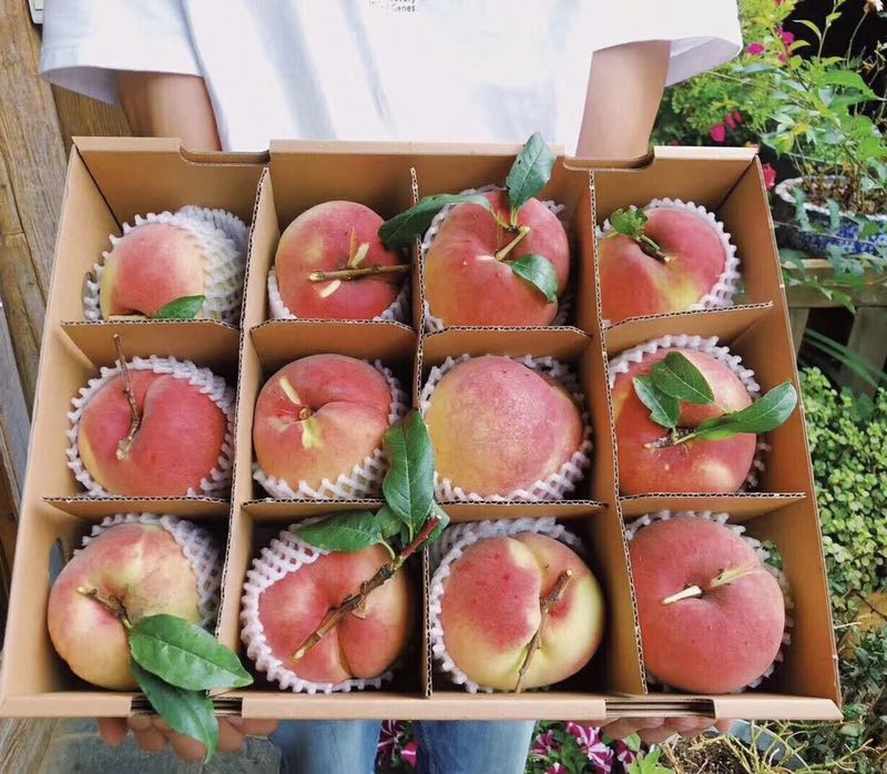 春雪桃制作的果盘与甜点