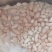 579小公鸡腰子有5吨