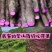 云南高山农家自种紫山药紫人参现挖现发3斤5斤