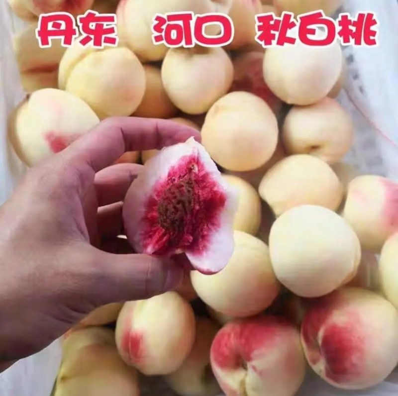 秋白桃，小型果2-3两，酸甜离合批发价1.7