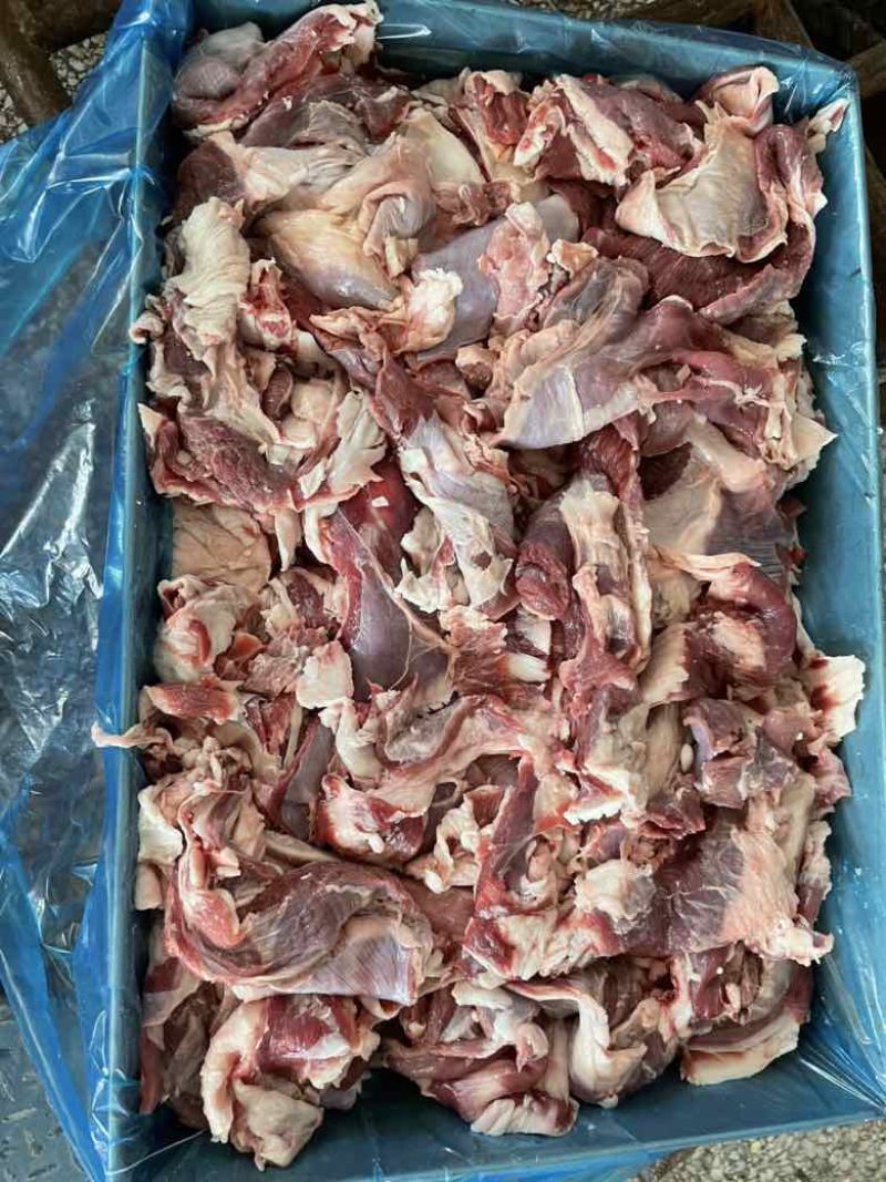 纯干羊肉常年出售欢迎全国各位老板考察合作