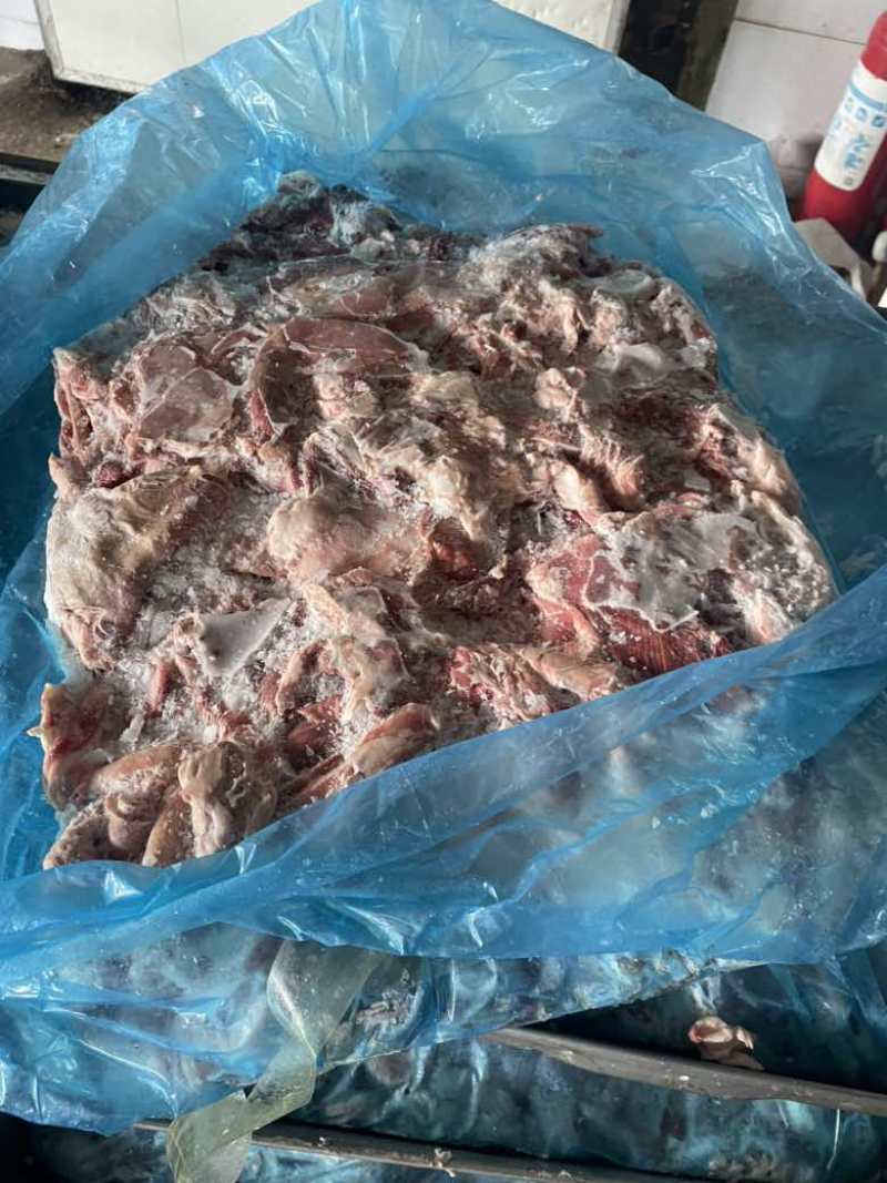 纯干羊肉常年出售欢迎全国各位老板考察合作