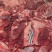 【热卖推荐】调理牛腿肉大块肉2.5斤餐饮商超平台可供