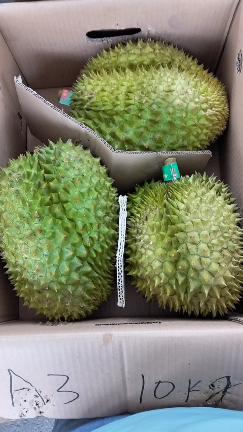 金枕榴莲A果