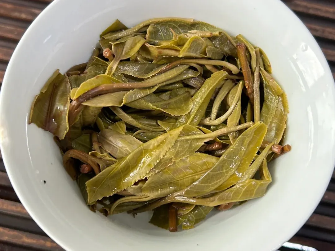 白皮松茶成品展示