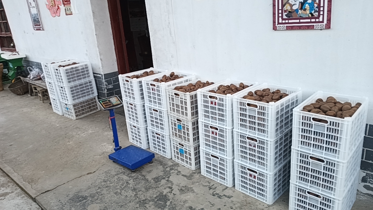 一张现代风格的桌面场景,左侧为一箱印有‘翠香猕猴桃’字样的精品礼盒,打开后内含泡沫托盘固定的新鲜果实;右侧为手机屏幕显示电商平台订单页面,下方堆叠着贴有快递单的纸箱,背景隐约可见冷链运输车 翠香猕猴桃包装与销售渠道展示图