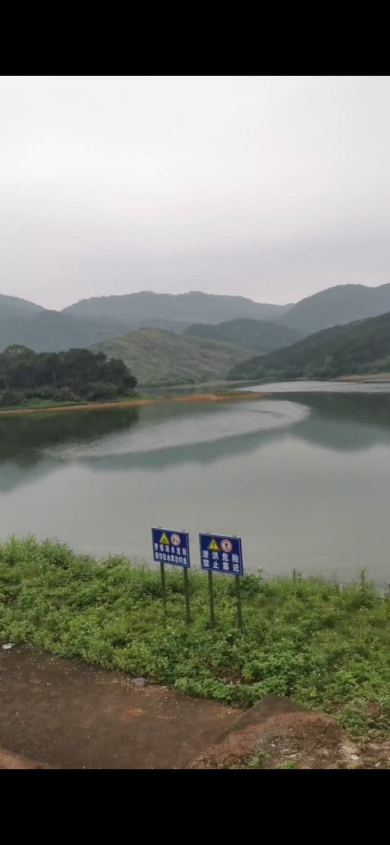 600亩水库，只给提供场地养鸭，可以养4万只