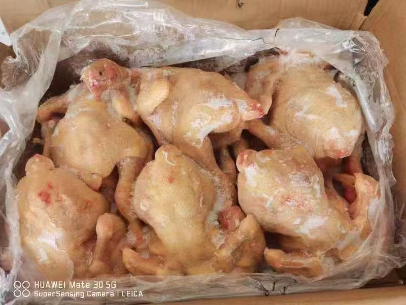 三黄鸡，黄油鸡，麻鸡，土二，土三。长期有货